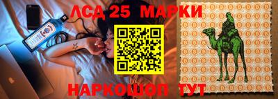 шишки Северобайкальск