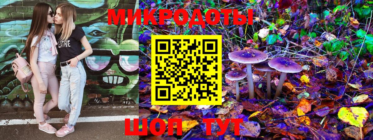 Псилоцибиновые грибы Psilocybe  Псилоцибиновые грибы ЛСД  Сальск  Вход с VPN 